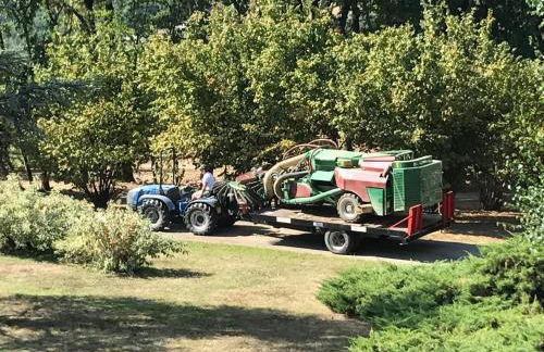 Sangrato 1883 - Foto 20