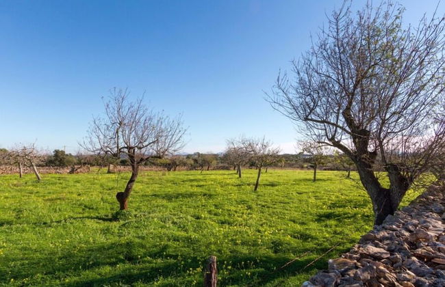 Villa Can Pedro - Foto 13