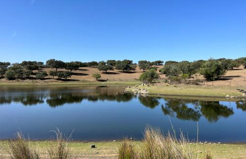 Herdade Terra rica - Photo 47