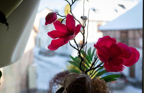 Ferienwohnung Prinke - Foto 9