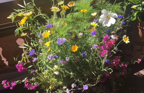 Apartment Fewo Bergblick lodge by Interhome - Photo 21