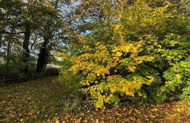 Gardener's Cottage - Foto 32