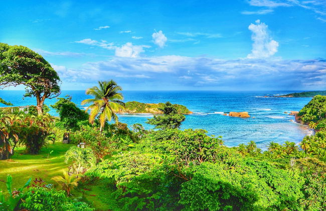 Blue Whale Villa - Photo 67