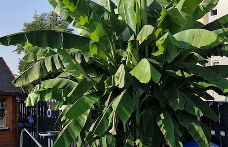 Ela's Appartementhaus - Foto 46