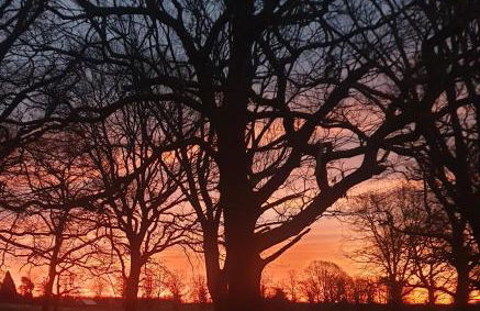 The Herons - Foto 34