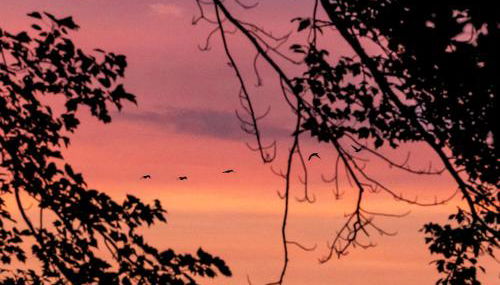 Stylish lake home with private beach, dock and firepit for swimming, kayaking, hiking - Foto 5