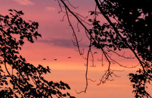 Stylish lake home with private beach, dock and firepit for swimming, kayaking, hiking - Foto 5