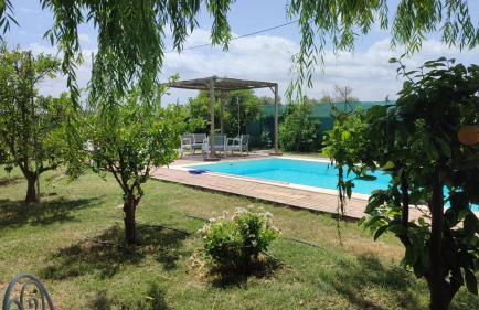 Els Tarongers Perfect for Families or Friends - Foto 2