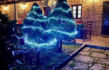 Casa dos Castros - Photo 6