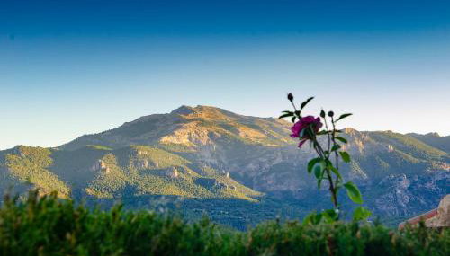 Casas Rurales Mirador del Mundo - Foto 4