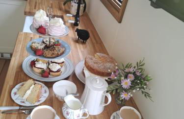 Ty Beti at Gorlan yr Efail Shepherds Hut with Private Hot Tub - Foto 18