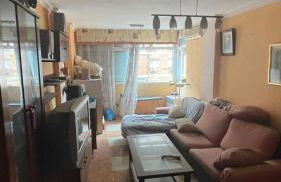 Conejito Malaga - Foto 1