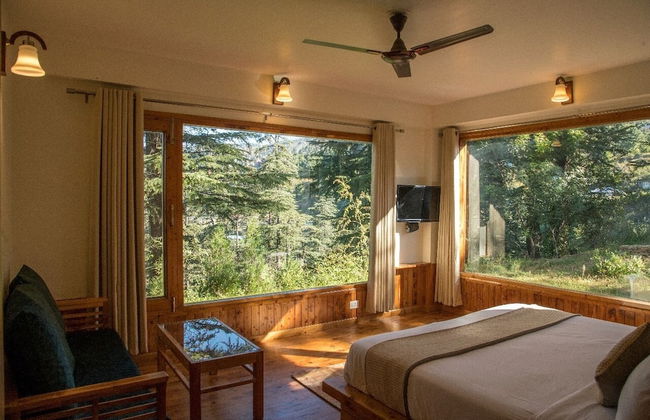 Green Chaklu - Foto 5