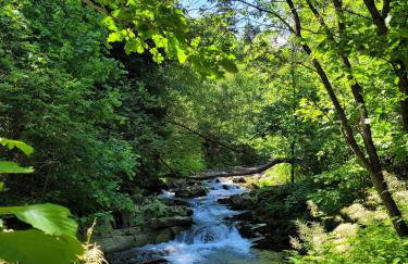 Slope House (Domek na Skarpie) Lipowa - Foto 31