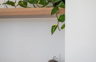 Seametry Luxrury Living Penthouse - Photo 42