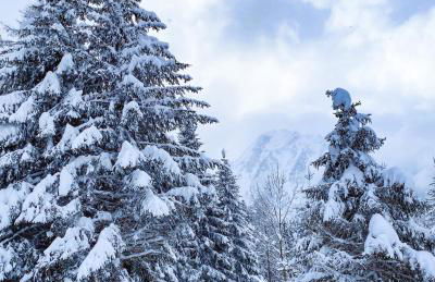 Appartamento Ari - Foto 21