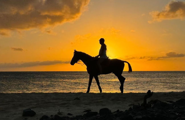 Tortuga/3beds/pool/tv/wifi - Foto 9