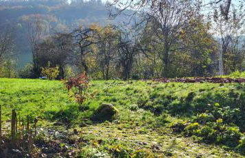Sonnige Ferienwohnung in Traumlage - Foto 6
