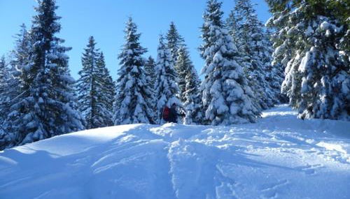Ferienwohnung Elisabeth - Foto 4