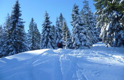 Ferienwohnung Elisabeth - Foto 4