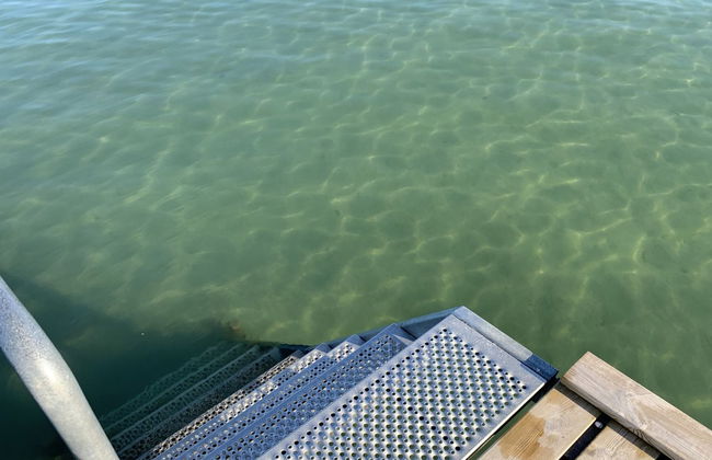 "Dana" - 525m from the sea - Foto 32