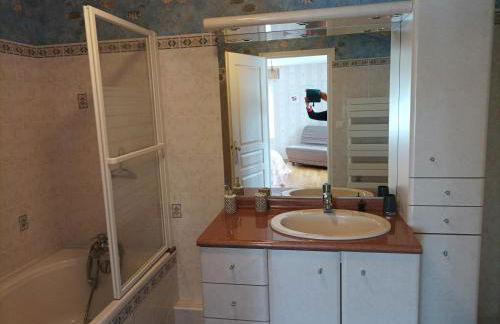 Le logis de LANGE apt Les Aigrettes - Foto 29