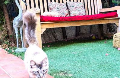 Casa Micho - Foto 28