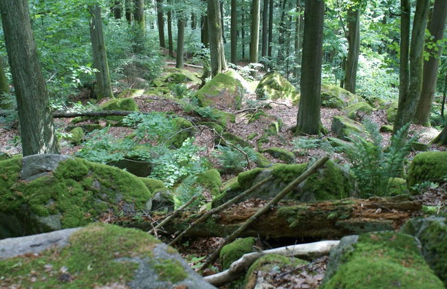 Wooden Holiday Home With Sauna - Foto 34