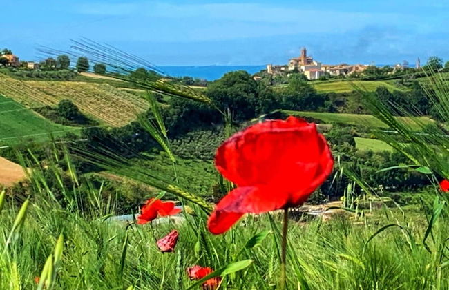 ChiaraLuce Country House - Foto 30