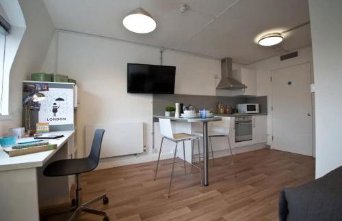 For Students Only CRM OLIB London - Foto 38