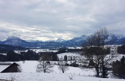 neuschwanstein-blick - Photo 54