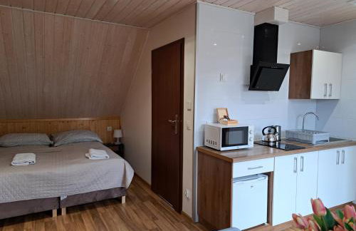 Noclegi Pod Modrzewiem - Foto 12