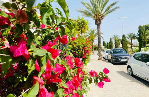 Apartament Hola Cabo Roig - Photo 10