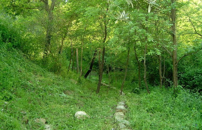 Agriturismo le Cammarose - Photo 23