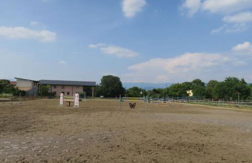 Holiday Home Domus Magna-3 by Interhome - Photo 63