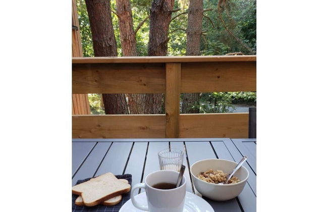 Holiday Home Under the Trees - Photo 14