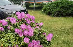 Apartament Pod Dębem - Foto 13