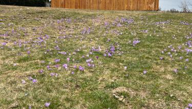 Apartamenty Bąkowo Chatka - Foto 2