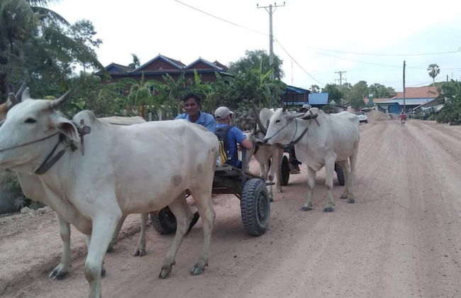 Siem reap Homesteading II - Foto 61