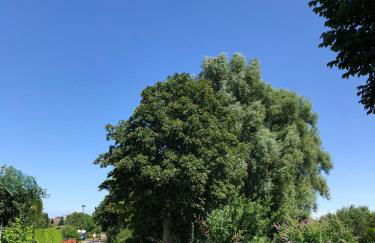 Ferienhaus Rupnow Plau am See - Foto 5