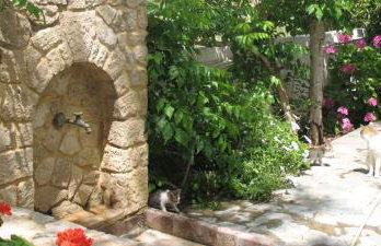 Villa Anna - Foto 16