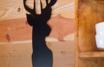 NEW! BEAR Necessities tiny home, outdoor theater! - Foto 14