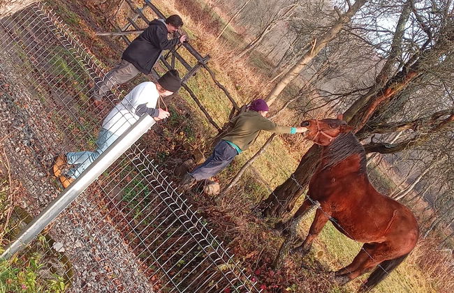 Room in Guest Room - Idylic Family Sejour With Hottube in Green Land - Photo 6