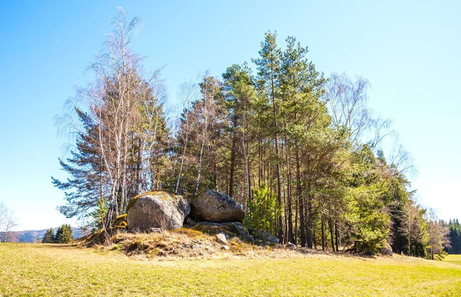 Holiday Home in Altmelon Near Weinsberg Forest - Foto 34