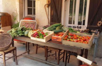 La Ferme Constantin - Foto 67