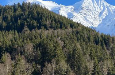 Chalet Keller - Photo 14