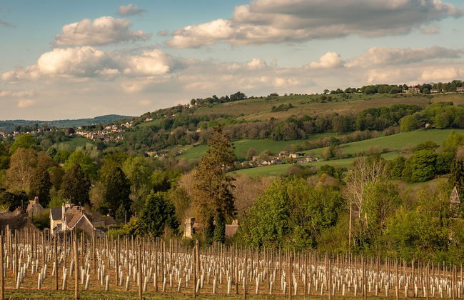 Woodchester Valley House - Foto 58