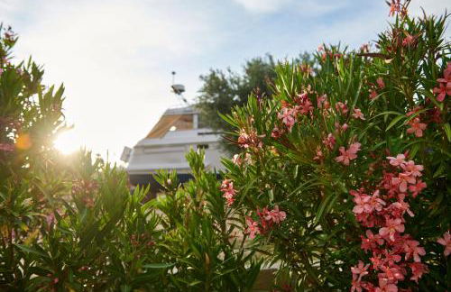 cuchi-barco - Foto 27