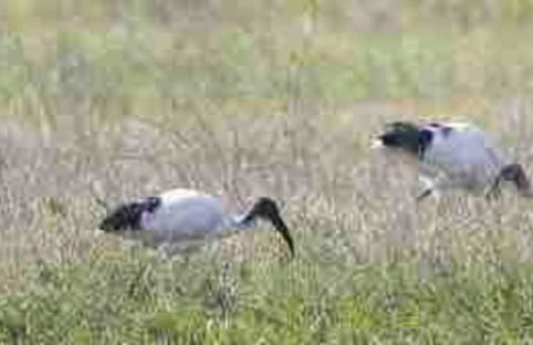 Appartamento Zia Ninìn - la gioia di un tempo! - Foto 19