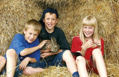 Ferienhof Schlag - Foto 10